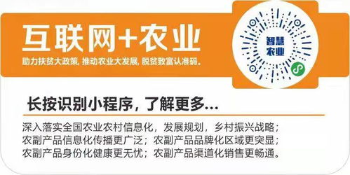 數(shù)字翅膀助農(nóng)飛，互聯(lián)網(wǎng)+農(nóng)業(yè)打通鄉(xiāng)村振興新銷(xiāo)路